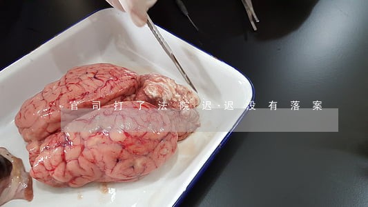 官司打了法院迟迟没有落案 官司打了法院迟迟没有落案