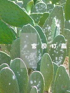 官司打赢两年盱眙法院拒执行 官司打赢两年盱眙法院拒执行