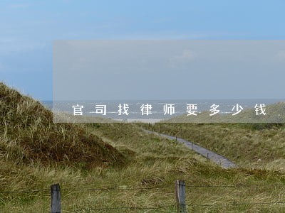 官司找律师要多少钱 官司找律师要多少钱