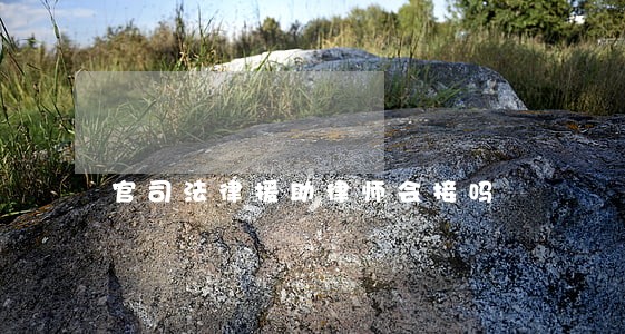 官司法律援助律师会接吗 官司法律援助律师会接吗