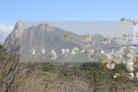 官司败了上诉多久法院才会谁