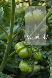 官员称现行司法体制适应国情 官员称现行司法体制适应国情