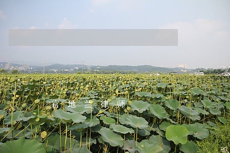 官地兰律师 官地兰律师