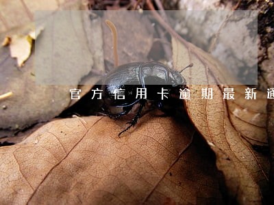 官方信用卡逾期最新通知 官方信用卡逾期最新通知