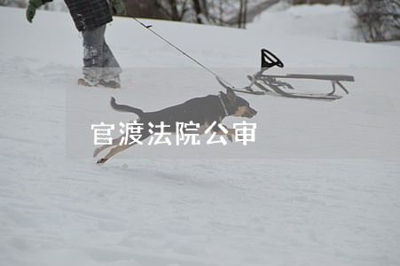 官渡法院公审 官渡法院公审