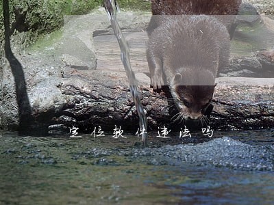 定位软件违法吗 定位软件违法吗