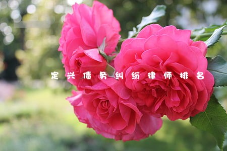 定兴债务纠纷律师排名 定兴债务纠纷律师排名