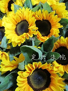 定兴法院黑名单查询