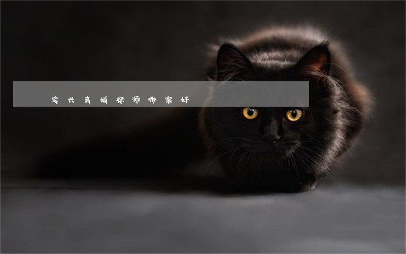 定兴离婚律师哪家好 定兴离婚律师哪家好