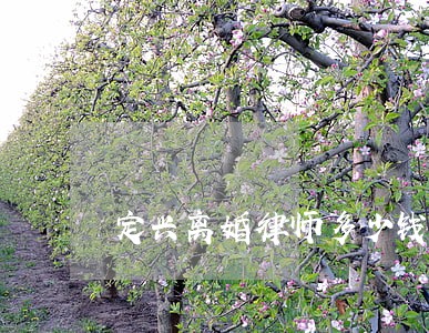 定兴离婚律师多少钱 定兴离婚律师多少钱