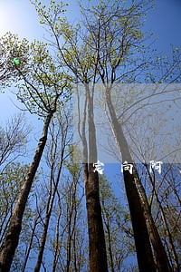 定向阿克苏违约 定向阿克苏违约