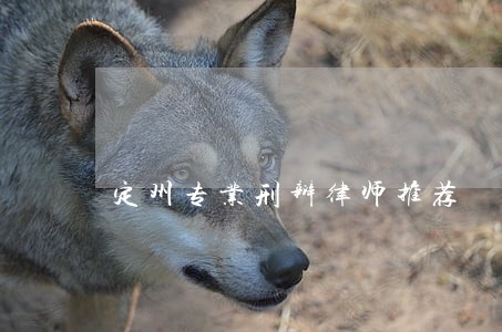 定州专业刑辩律师推荐 定州专业刑辩律师推荐