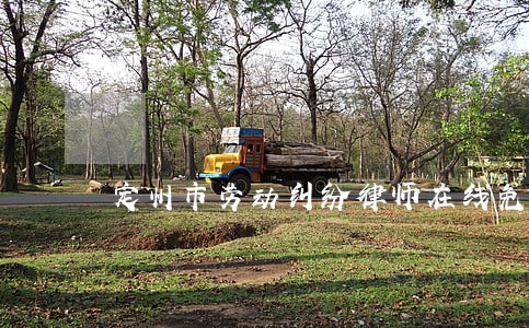 定州市劳动纠纷律师在线免费咨询 定州市劳动纠纷律师在线免费咨询