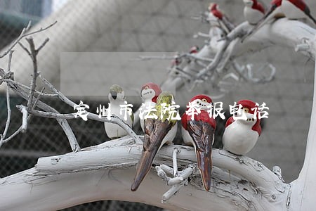 定州市法院举报电话 定州市法院举报电话