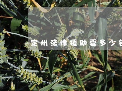 定州法律援助要多少钱 定州法律援助要多少钱