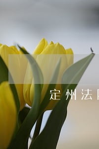 定州法院判决书查询 定州法院判决书查询