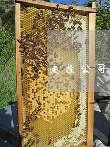 定投公司严管信用卡逾期怎么办 定投公司严管信用卡逾期怎么办