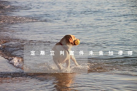 定期宣判案件未告知律师 定期宣判案件未告知律师