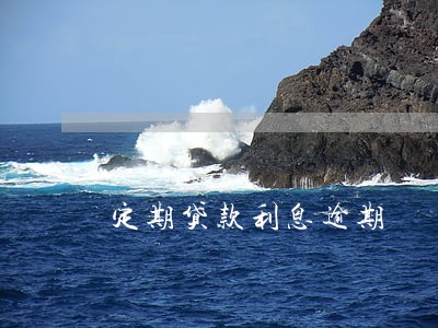 定期贷款利息逾期 定期贷款利息逾期