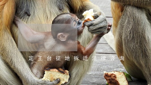定王台征地拆迁法律咨询 定王台征地拆迁法律咨询