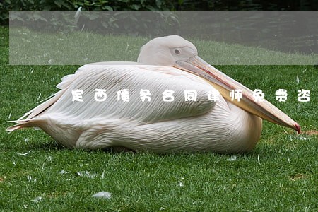 定西债务合同律师免费咨询