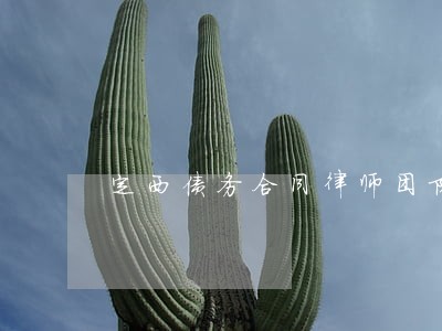 定西债务合同律师团队 定西债务合同律师团队