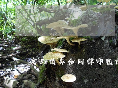 定西债务合同律师电话免费咨询 定西债务合同律师电话免费咨询