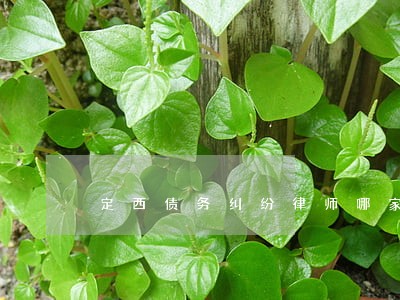 定西债务纠纷律师哪家好 定西债务纠纷律师哪家好