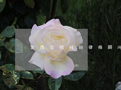 定西合同纠纷律师顾问 定西合同纠纷律师顾问