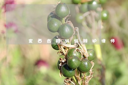 定西合同纠纷辩护律师 定西合同纠纷辩护律师