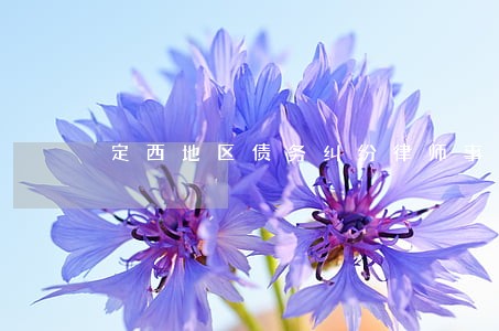 定西地区债务纠纷律师事务所 定西地区债务纠纷律师事务所