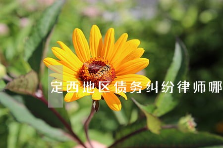 定西地区债务纠纷律师哪个好 定西地区债务纠纷律师哪个好