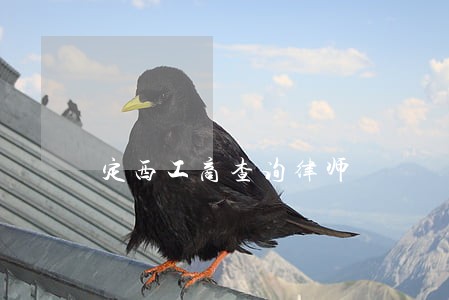 定西工商查询律师 定西工商查询律师