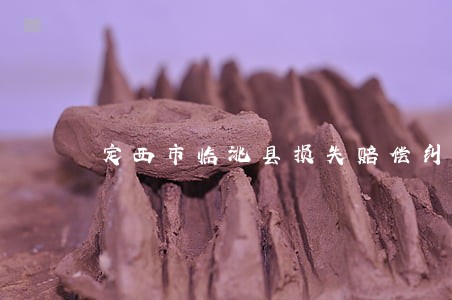 定西市临洮县损失赔偿纠纷律师 定西市临洮县损失赔偿纠纷律师