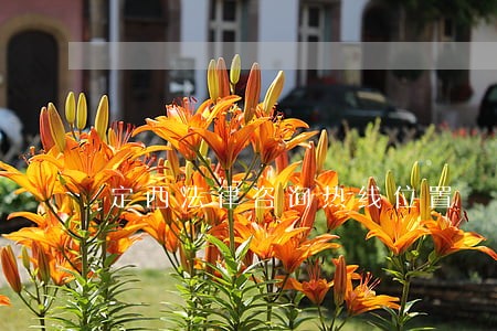 定西法律咨询热线位置 定西法律咨询热线位置