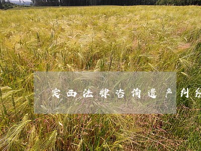 定西法律咨询遗产纠纷 定西法律咨询遗产纠纷