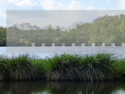 定边县公司经营在线律师 定边县公司经营在线律师