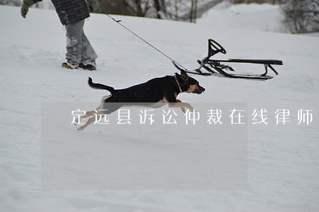 定远县诉讼仲裁在线律师 定远县诉讼仲裁在线律师