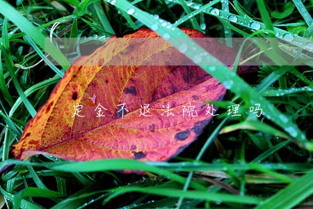 定金不退法院处理吗 定金不退法院处理吗