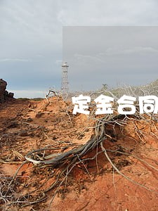 定金合同纠纷律师咨询 定金合同纠纷律师咨询