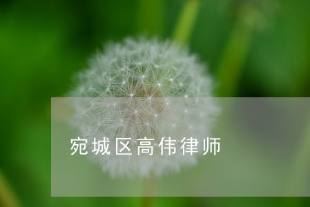 宛城区高伟律师 宛城区高伟律师