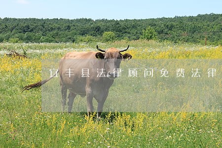 宜丰县法律顾问免费法律咨询热线 宜丰县法律顾问免费法律咨询热线