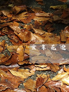 宜享花逾期6个月协商只还本金 宜享花逾期6个月协商只还本金