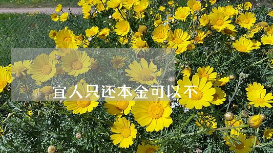 宜人只还本金可以不 宜人只还本金可以不