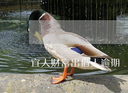 宜人财富出借人逾期 宜人财富出借人逾期