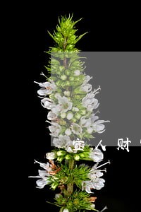 宜人财富回款逾期一天 宜人财富回款逾期一天