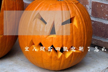 宜人财富回款逾期了怎么办 宜人财富回款逾期了怎么办