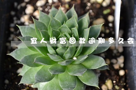 宜人财富回款逾期多久会上征信 宜人财富回款逾期多久会上征信