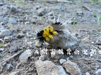 宜人财富投资会逾期吗 宜人财富投资会逾期吗