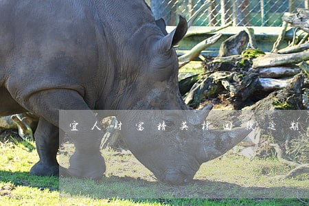 宜人财富精英标回款逾期 宜人财富精英标回款逾期